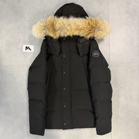 Wyndham Parka Black ( M )