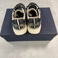 Dior B22 Silver ( UK6 )